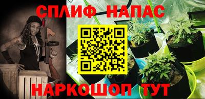 винт Новокубанск