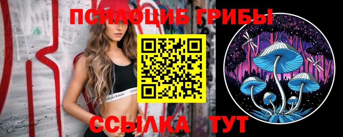 Псилоцибиновые грибы мицелий  Вход с VPN  Тихорецк 